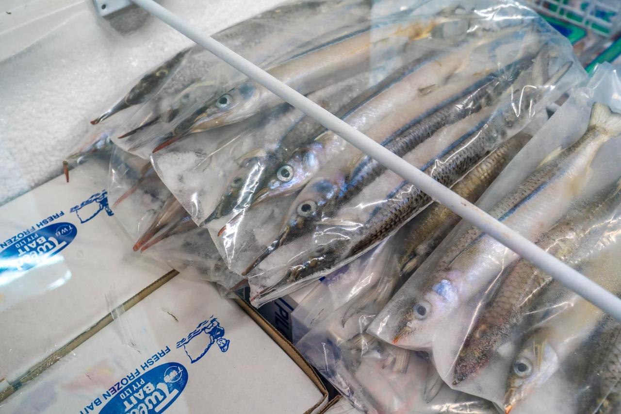 Lucinda Fishing Lodge المظهر الخارجي الصورة